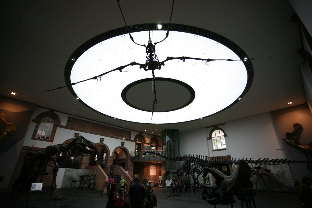 led lichtdecke