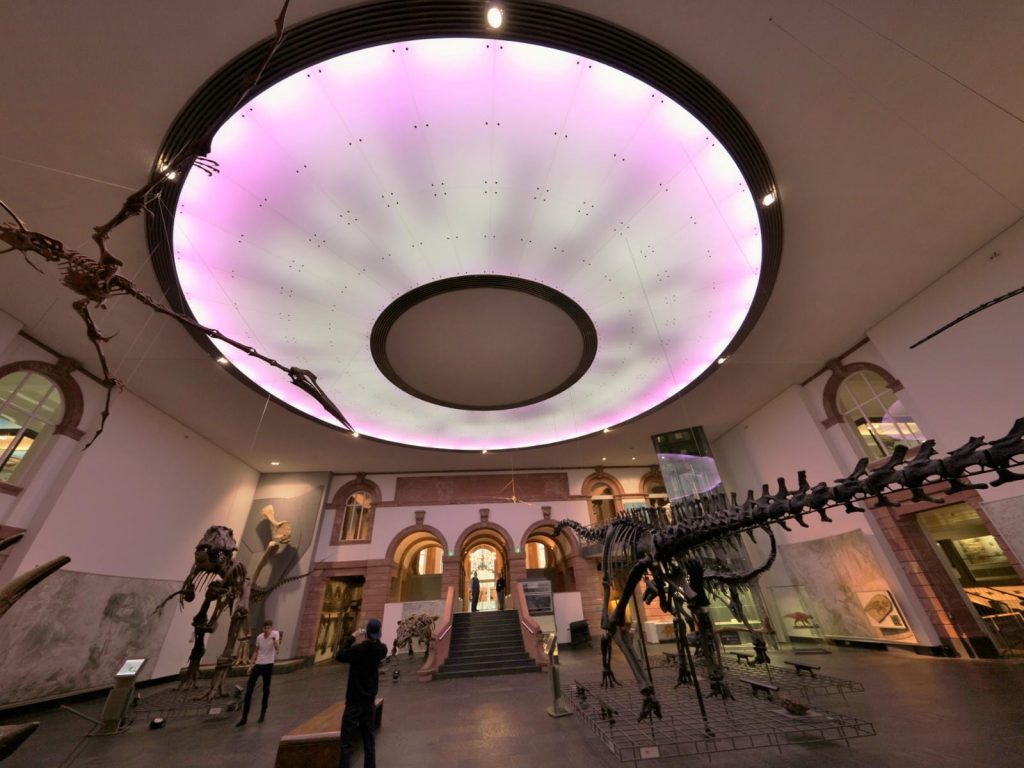 LED Lichtdecke pink